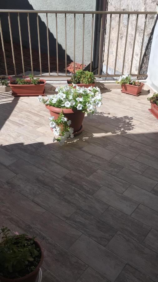 Guest House Le Gemelle Luras Exterior foto